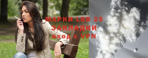 амф Ельня
