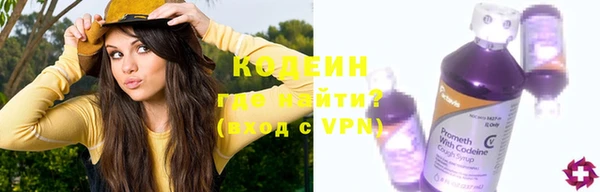 ГАЛЛЮЦИНОГЕННЫЕ ГРИБЫ Дмитриев