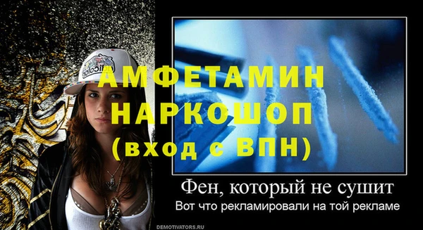 амф Ельня