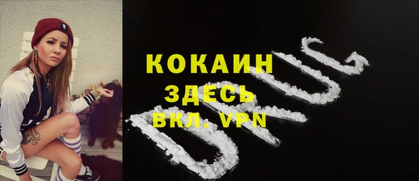 хмурый Дмитровск