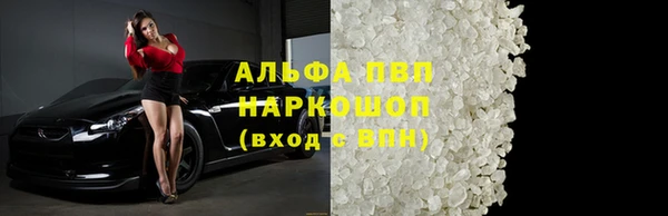 амф Ельня