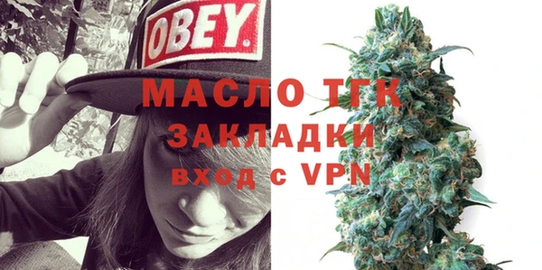 амф Ельня