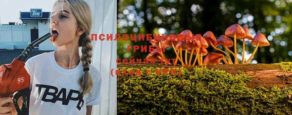 соль курить ск Елабуга