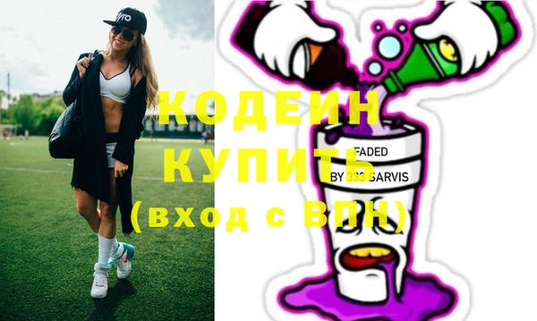 амф Ельня