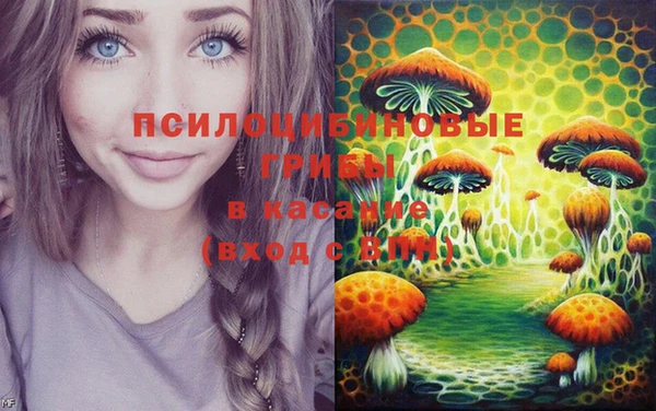 соль ск Елизово