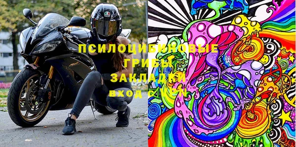 амф Ельня
