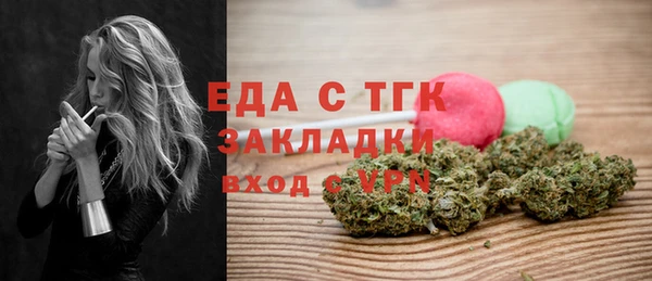 амф Ельня