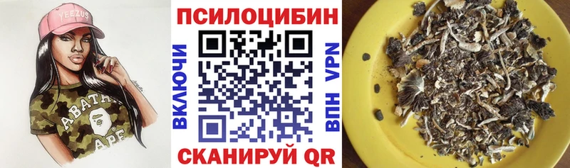площадка как зайти  как найти   Закаменск  Галлюциногенные грибы мицелий 
